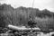 A fisherman dressed in camouflage fishing in the river with a rubber boat. Black and white photo.