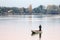 Fisherman fishing on the Danube river on his rowing boat during a warm autumn afternoon in Zemun, a northern district of Belgrade