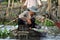 Fisherman fishing with fishing nest in the Mekong delta, Vietnam