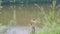 Fisherman with a fishing rod is on the river Bank. Beautiful summer landscape. Outdoor recreation. Hobby