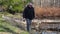 Fisherman with fishing rods walking near the river