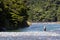 Fisherman fly fishing in Fiordland