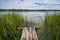 fisherman footbridge in rich green vegetation of cane, lake bank tranquil, quiet and peaceful summer no human landscape, ecology