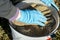 Fisherman gloves sifts the bait through the sieve into the bucket