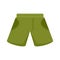 Fisherman green shorts icon flat isolated vector