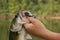 Fisherman holding Bass closeup