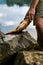 Fisherman holding freshly caught freshwater carp