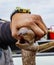 Fisherman holds up eel that he caught and will now be sold for dinner in Vina del Mar, Chile