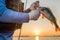 A fisherman with a large fish perch and a silicone bait in his hands on the river at dawn.