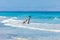 Fisherman pulling a a rope at Tecolote Beach