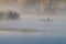 Fisherman in a punt boat fishing with rods, thick fog covers still surface of a river, bulrush, cane and willows grow on a bank