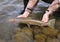 Fisherman releasing large trout in river