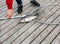 Fisherman removes from the hook fish