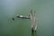 A fisherman rides long tail boat across Songkhalia river, Sangkhlaburi.