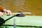 Fisherman rowing inflatable rubber fishing boat on the water surface. Man hand rowing paddle