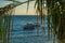 Fisherman`s boats anchored framed by coconut palm on the Rio Vermelho beach in Salvador, Brazil