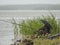 The fisherman sits on the shore of the lake under an umbrella in rainy weather