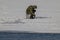 A fisherman sits on thin melting ice and catches fish, not paying attention to the danger of falling through the ice and dying