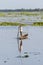 Fisherman standing on his boat at Ban Thale Noi lagoon, Thailand