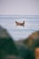 fisherman standing and sighting fish in traditional wooden canoe boat on blue indian ocean