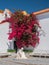 Fisherman statue and Bougainvillea bush, Alcoutim, Portugal.