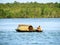 fisherman at Sundarbans and mangrove woods