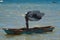 Fisherman Throws a Fishing Net by a Fishing Boat