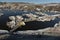 Fishermans boats on arctic ocean in Ilulissat marine, Greenland. May 2016