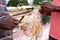 Fishermans preparing they fishing net