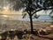 Fishermen Boats in Tofo Beach Inhambane Mozambique