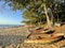 Fishermen Boats in Tofo Beach Inhambane Mozambique