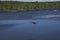 Fishermen catch fish with a rubber boat