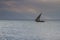 Fishermen on a dhow, Zanzibar