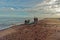 Fishermen and fisheries activities at Negombo Fishing Village