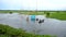 Fishermen are fishing in the bill or lake with big nets. Traditional village fishing in Bangladesh