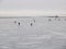 Fishermen on ice of the Gulf of Finland in the early spring. Tallinn, Estonia