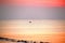 Fishermen leave fishing in the middle of the sea while sunrise n