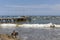 Fishermen on Mancora Fishing Pier unloading their Boat, while a Horse Rider rides along the beach.