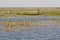 Fishermen in a pirogue in the Niger river.