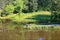 Fishermen on the pond in a forest Park fishing from the shore