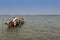 Fishermen preparing their canoe in the port of the city of Cacheu