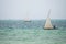 Fishermen sailing on dhows, Kiwengwa village, Zanzibar