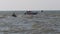 Fishermen on a small motor boat are moving along the waves in the sea.Thailand. Asia