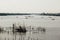 Fishermen snare boating on the lake in the background of the cit