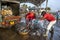 Fishermen sort fish into a basket at the Negombo Fish Market in the early morning.