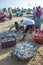 Fishermen sort their catch of fish ready for sale on Arugam Bay beach in Sri Lanka.