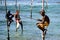 Fishermen on stilts on the coast of Sri Lanka