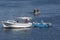 Fishermen in their boats checking nets in Alexandria Harbour in Egypt.