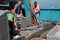 Fishermen unload the catch of sprat. Black Sea