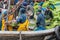 Fishermen unloading catch